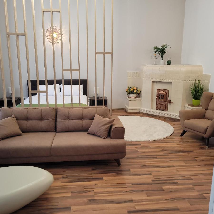 B8 - Spacious, Charming Apartment In Central Сібіу Екстер'єр фото