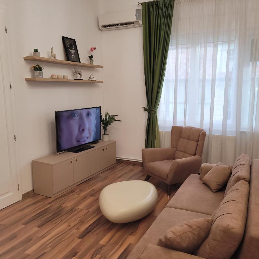 B8 - Spacious, Charming Apartment In Central Сібіу Екстер'єр фото