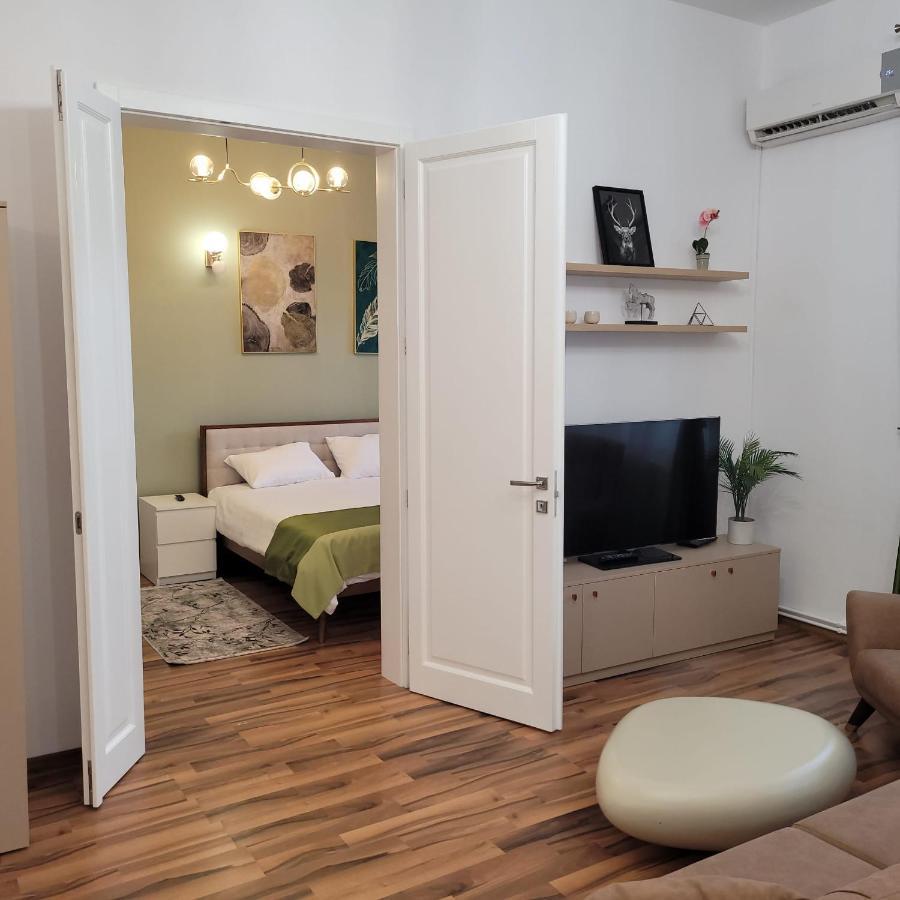 B8 - Spacious, Charming Apartment In Central Сібіу Екстер'єр фото