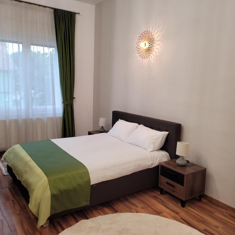 B8 - Spacious, Charming Apartment In Central Сібіу Екстер'єр фото