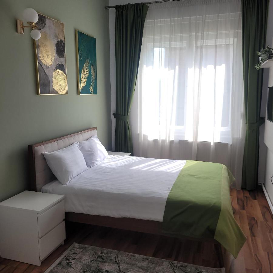 B8 - Spacious, Charming Apartment In Central Сібіу Екстер'єр фото